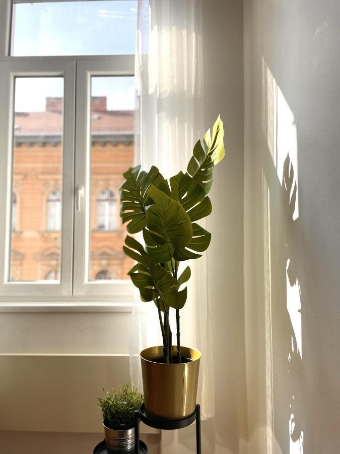 Apartament Eotvos 25 Budapeszt