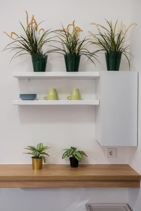 Andrassy Avenue Homestay Budapest