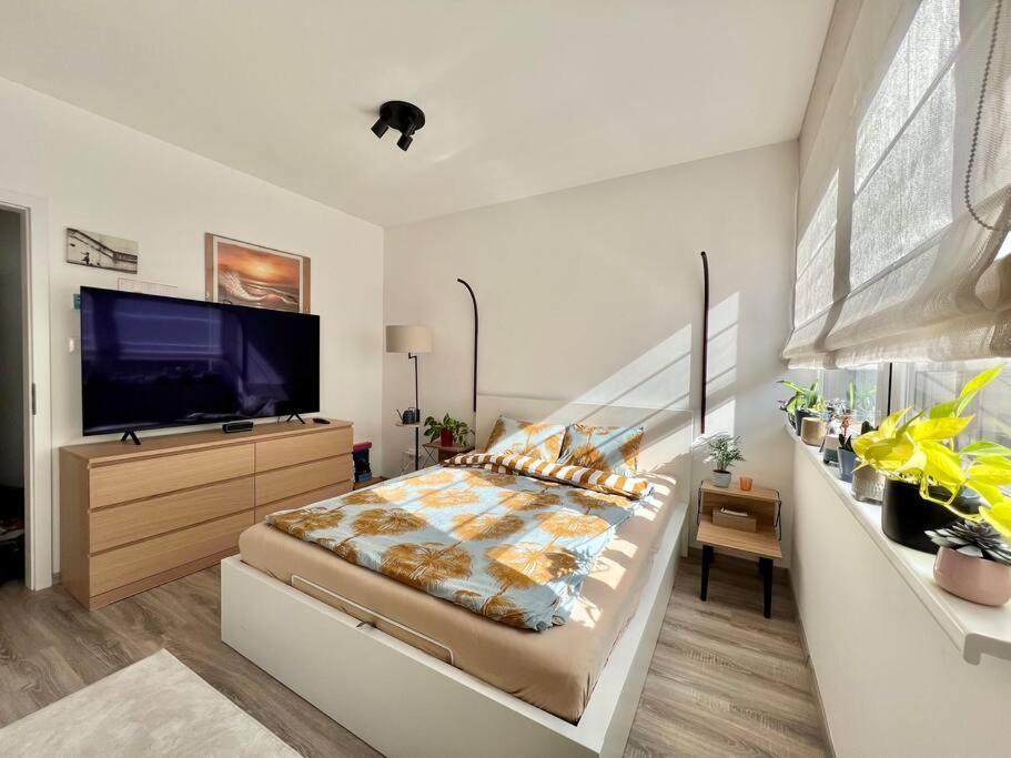 Beautiful Place Apartamento