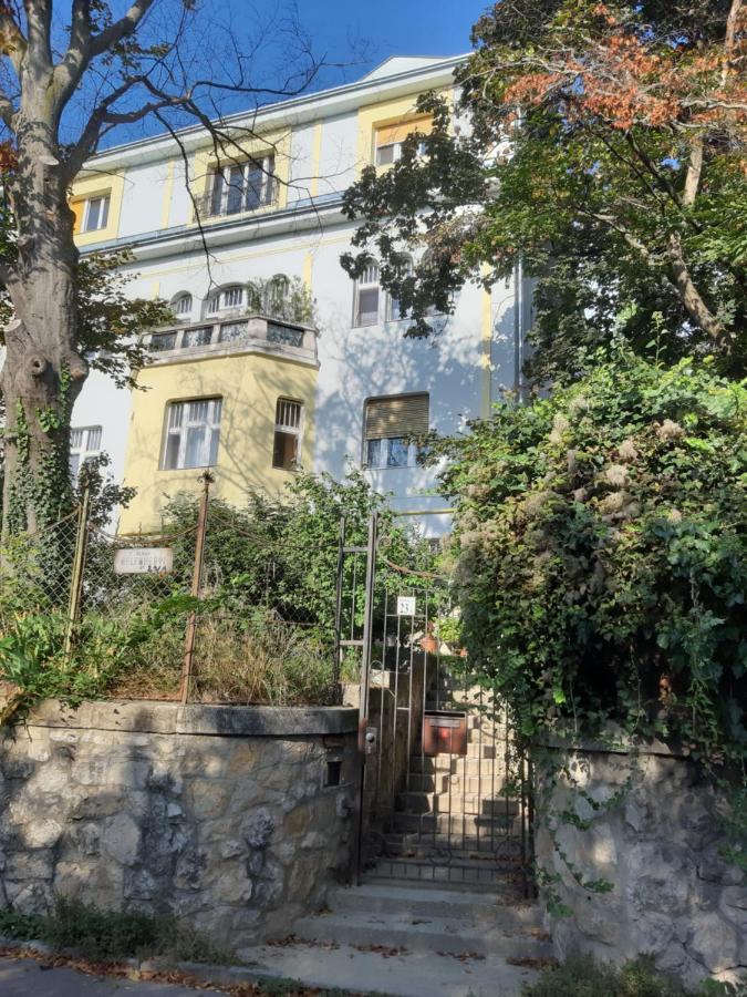 Hill Apartment