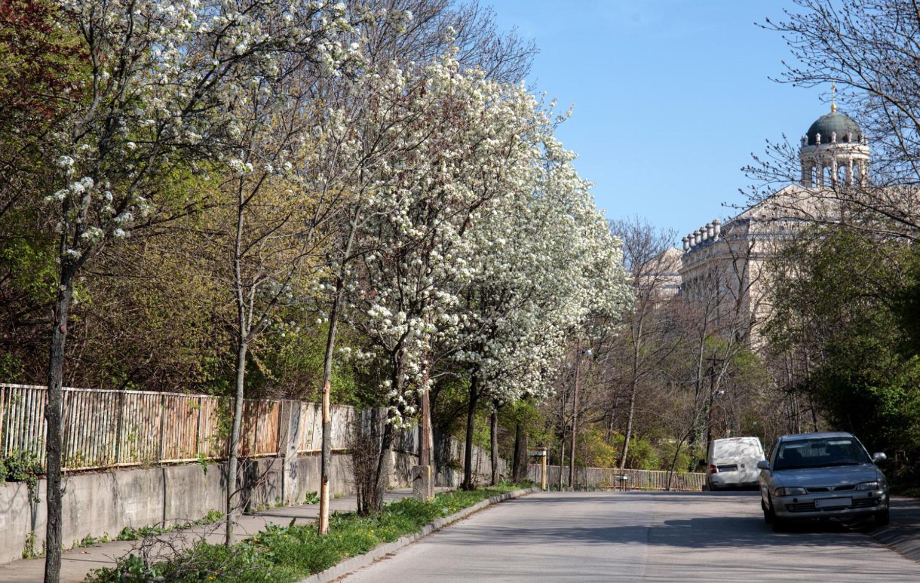 Apartman Birdnest