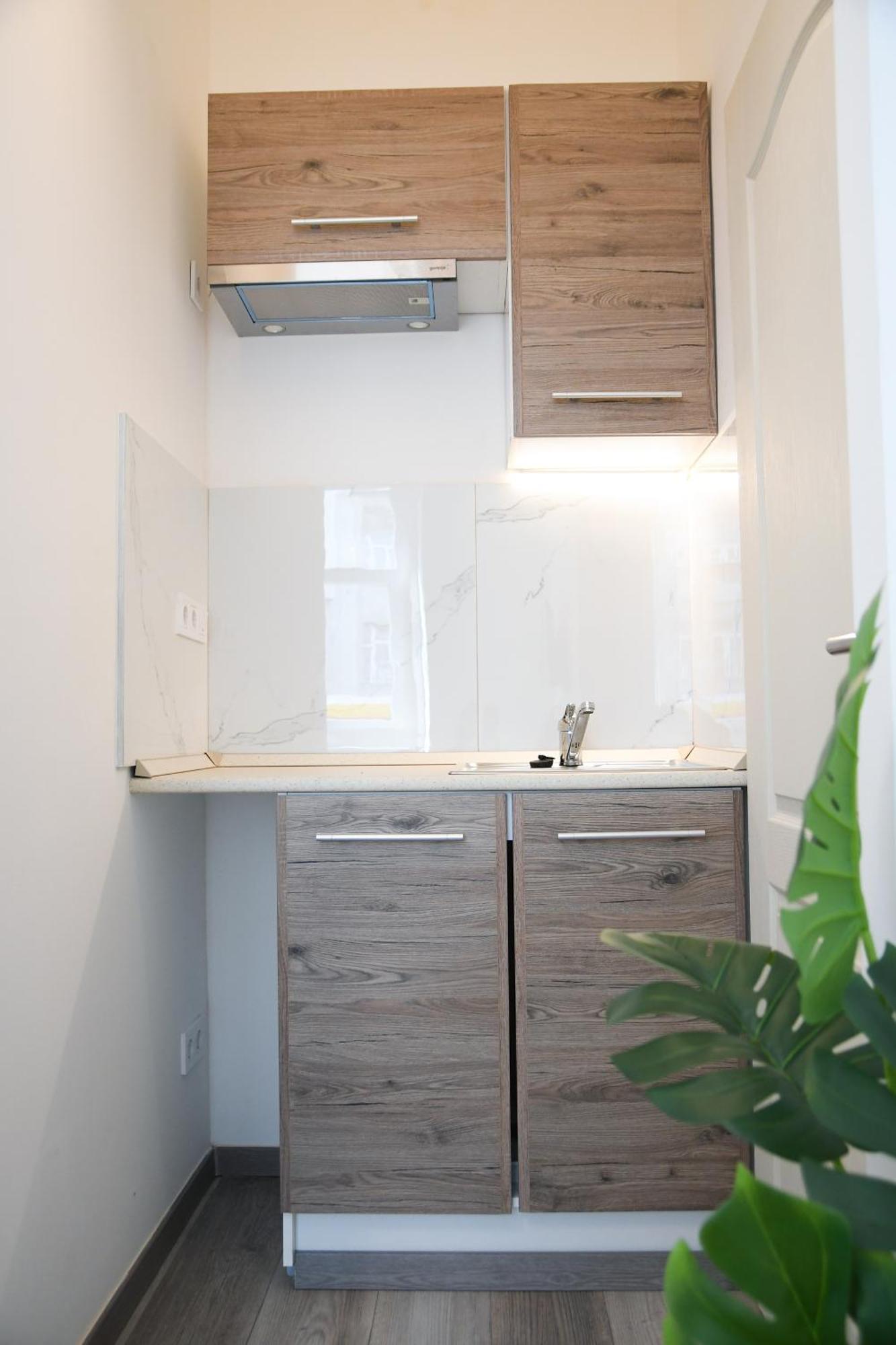 Apartment Buda Tiny