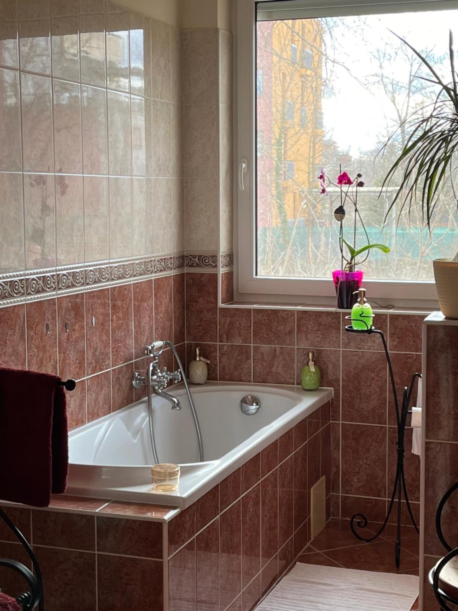 Kiraly Csaladi Apartman- Royal Family #freegarage
