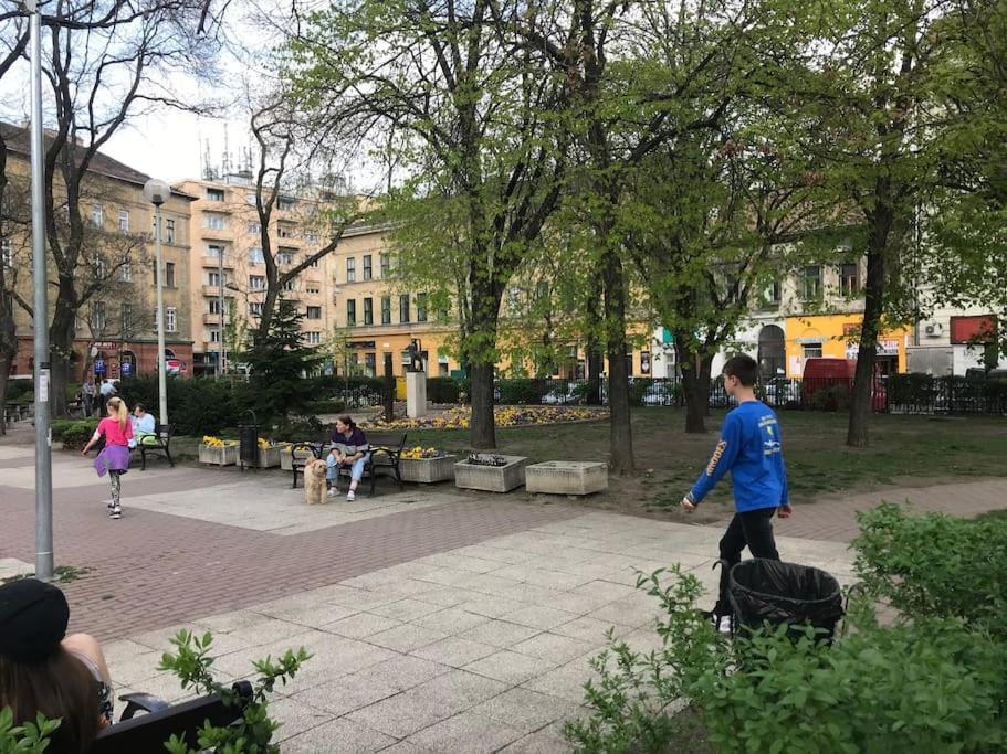 Separate Flat,3 Rooms!central Location-best Price! * Budapeszt