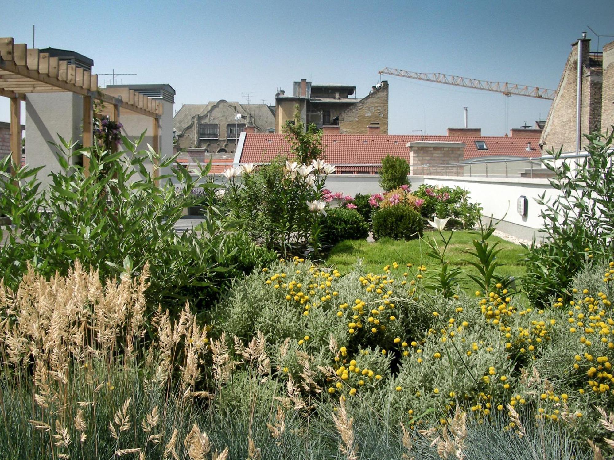 Paulay65 - With 24h Reception Apartament *