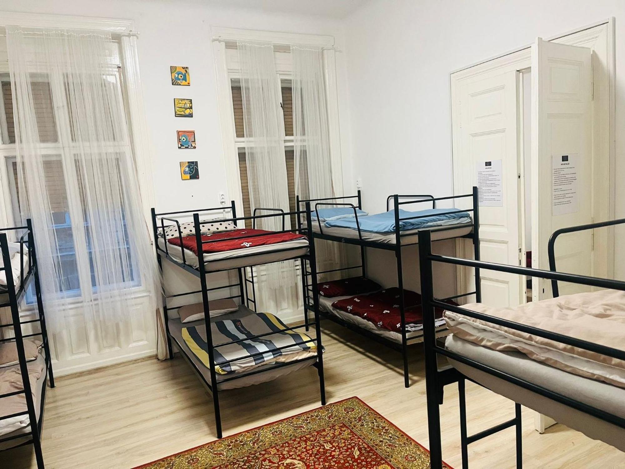 Doxie And Beds * Budapest