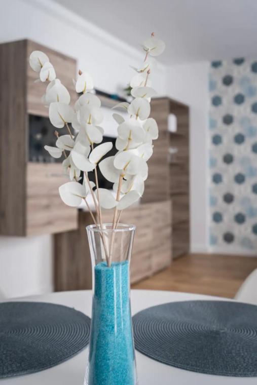 Apartamento Black Rose