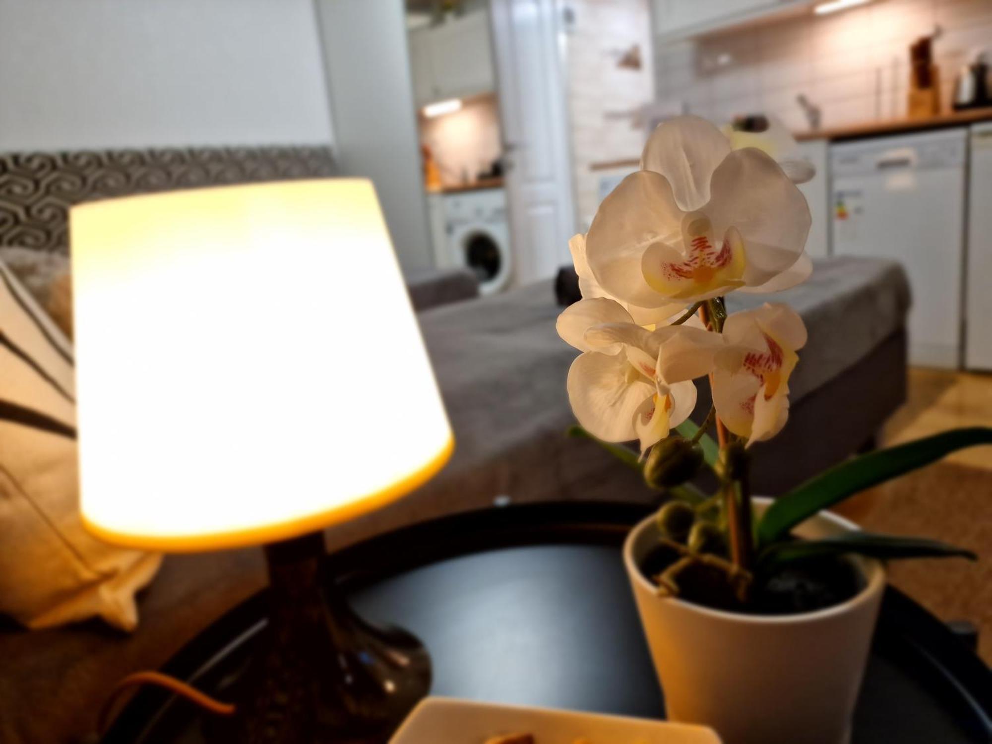 Apartamento Bercsényi *
