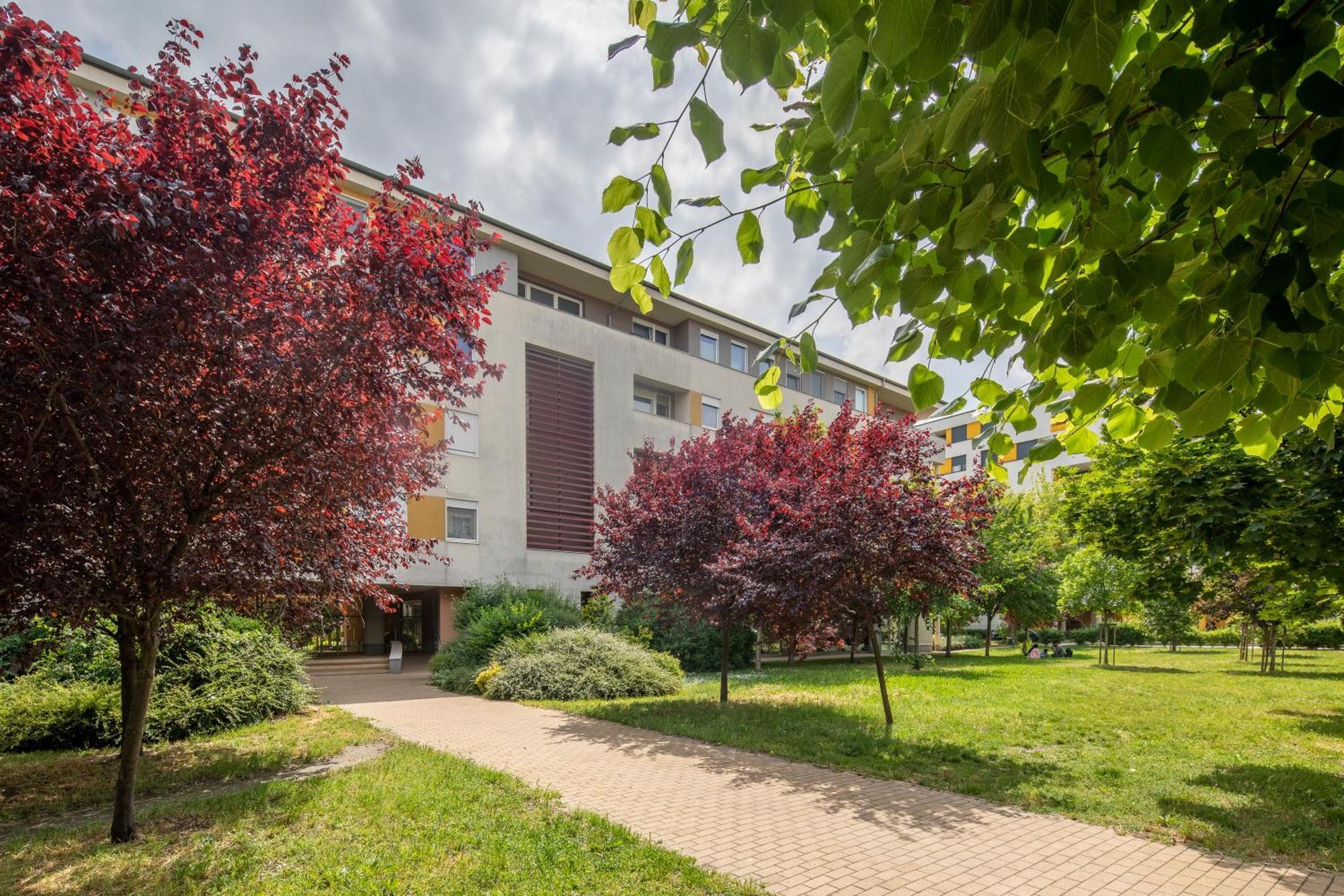 Cozy At Residential Area - Free Street Parking Appartement