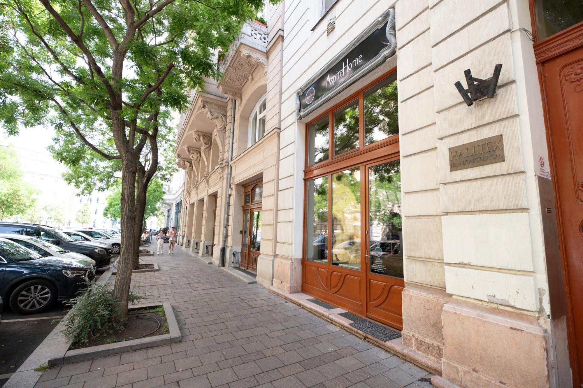 Danube Dwelling Aulich Utca 3 Apartamento