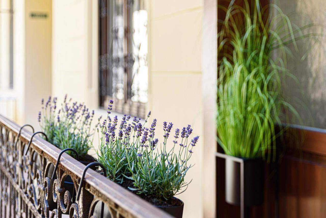 Apartament Serenity Luxury *