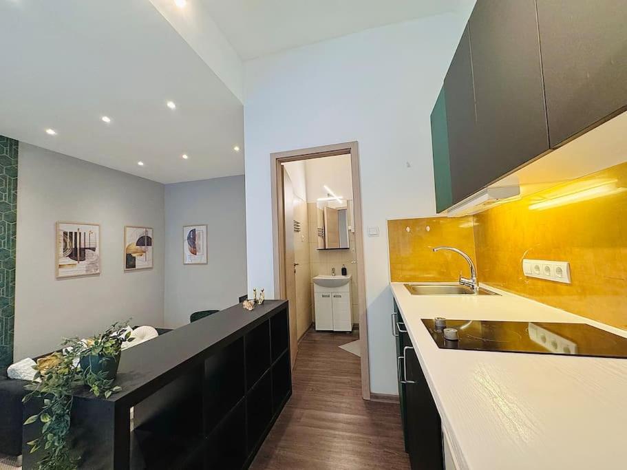Apartament Raday 2 *