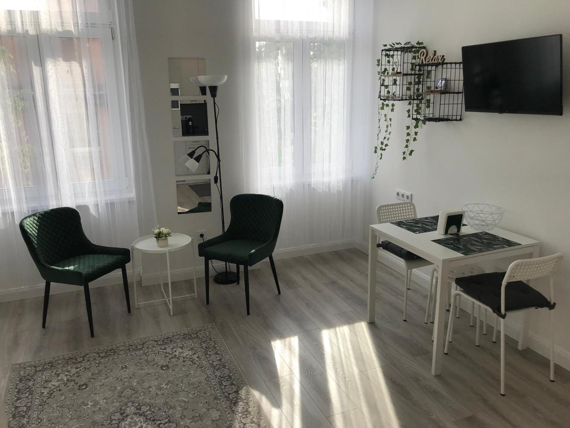 Apartmán Beautiful Newly Refurbished Studio,fully Equipped Walking Distance To The Park Where Will Find The World Famous Szechenyi Thermal Bath Spa, Museums , And The Capital Circus , Ac, Smart Tv, High Speed Internet