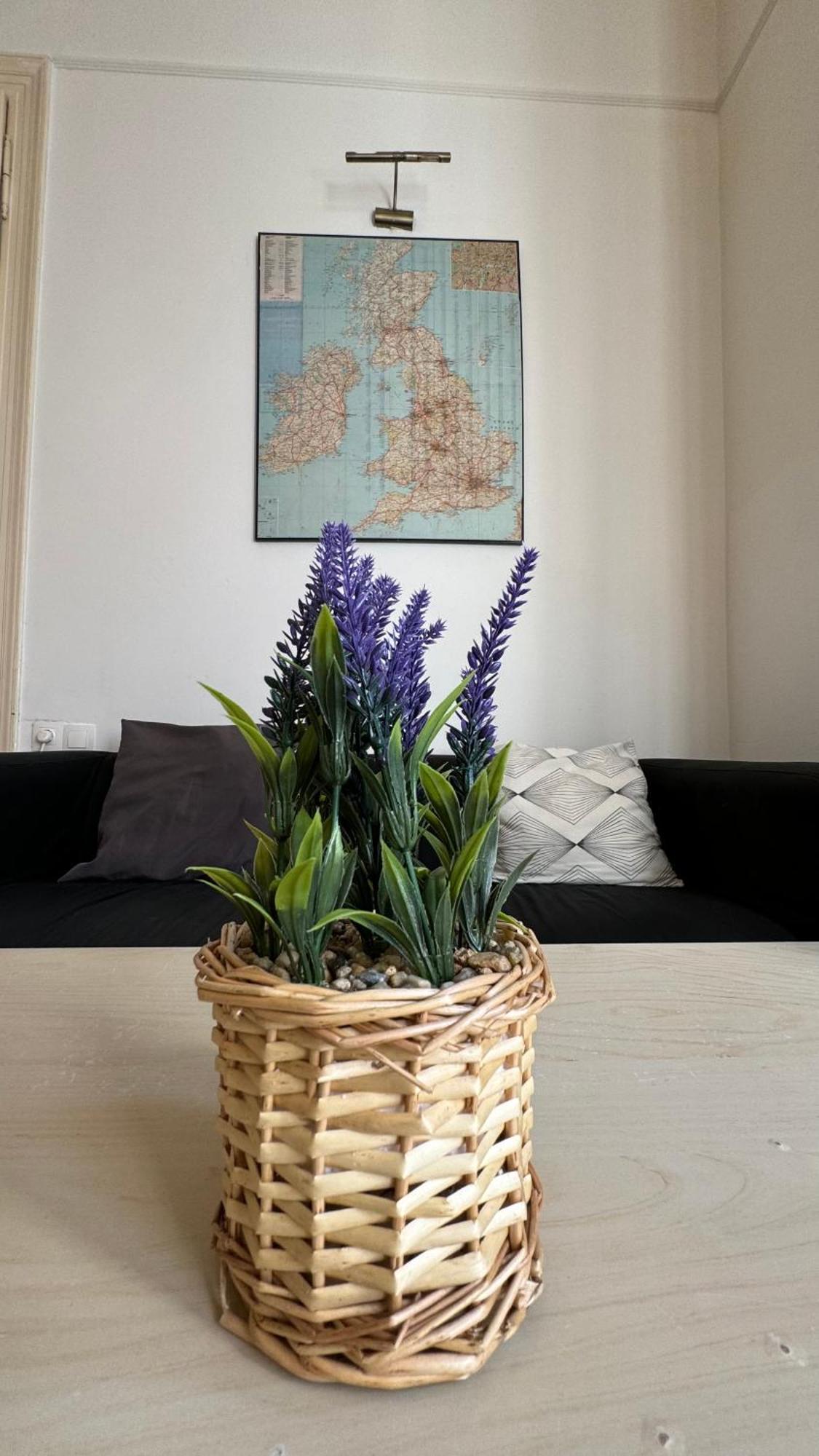 Apartament Weiner Central *