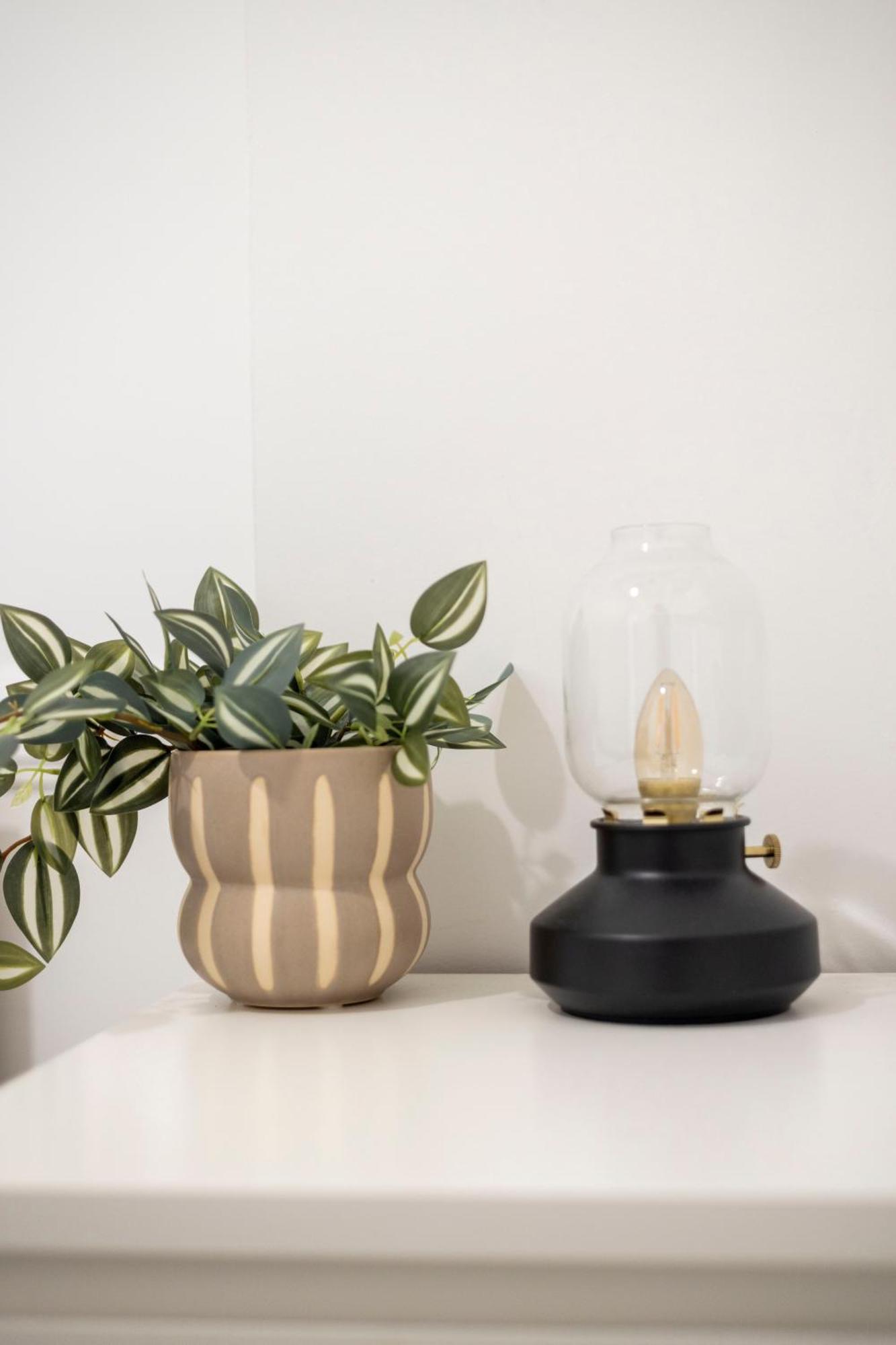 Charming & Cozy 1bedrm
