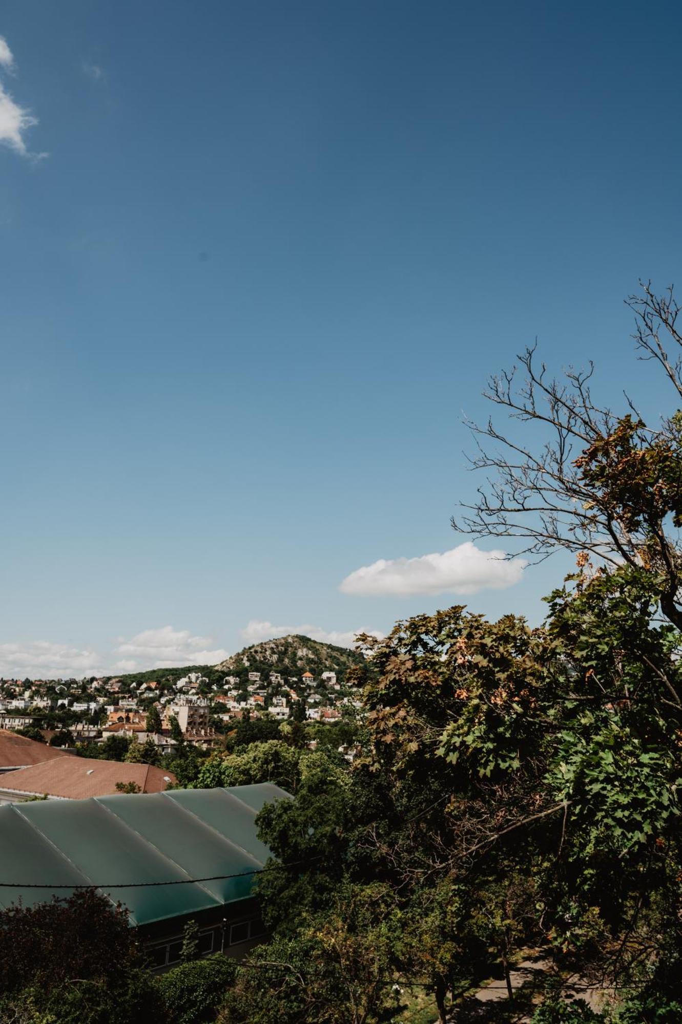 Buda Hill View *