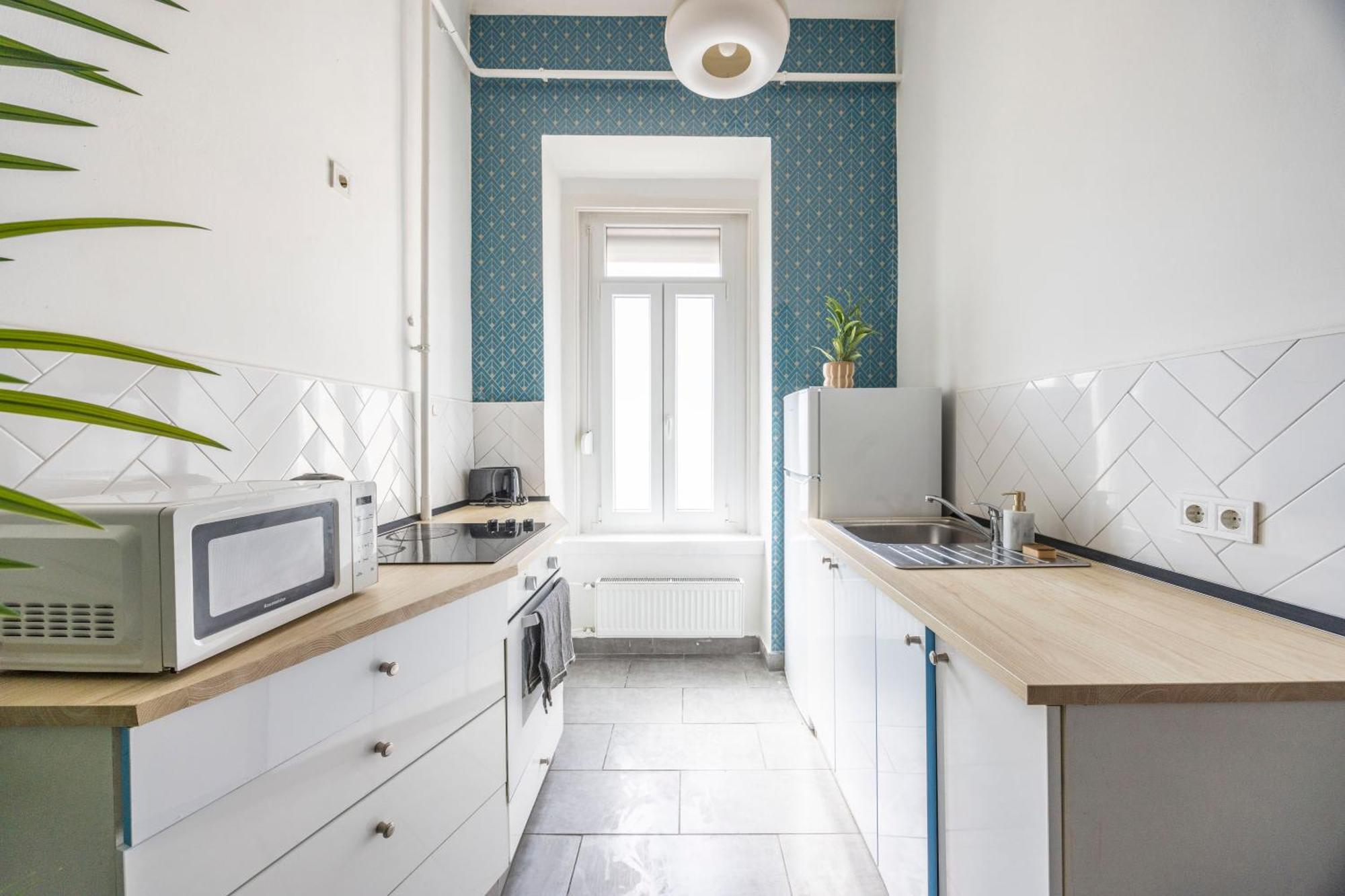 Apartment Deluxe 4bedrm In The Heart Of Budapest