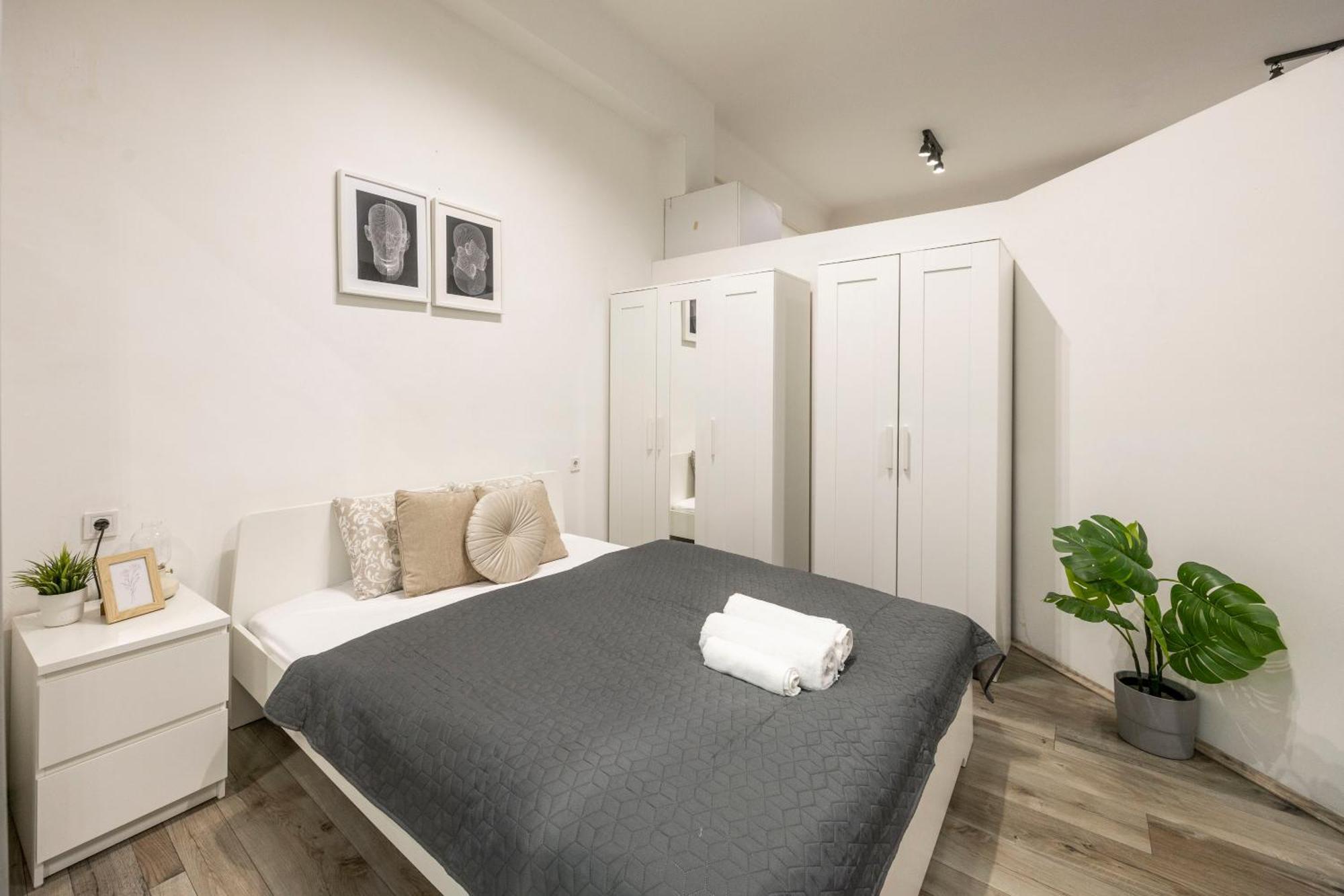 Apartament & Cozy Superior Terez Boulevard Budapeszt