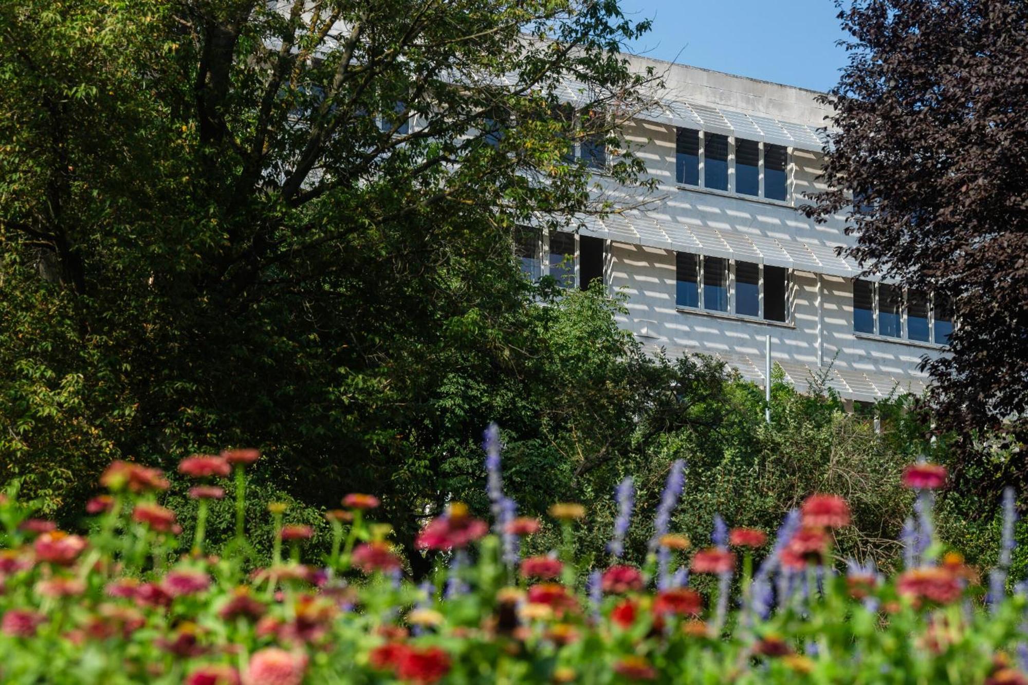 Vandrarhem Moricz Student Living