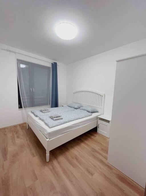 Spacious With Balcony And Garage Appartamento *