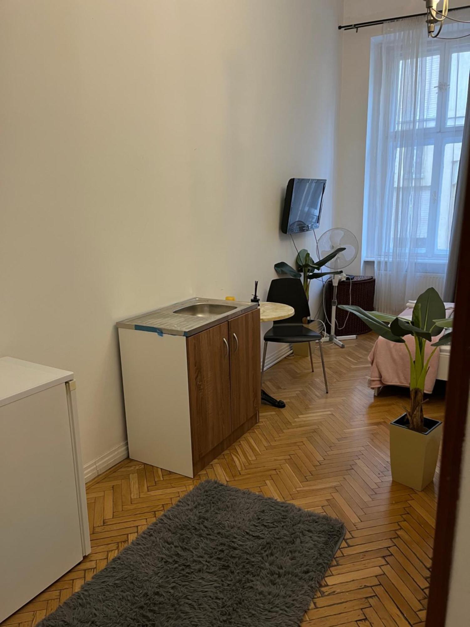 Millionrosesvintage Vaci Street Free Airconditioner And Coffee * Budapest