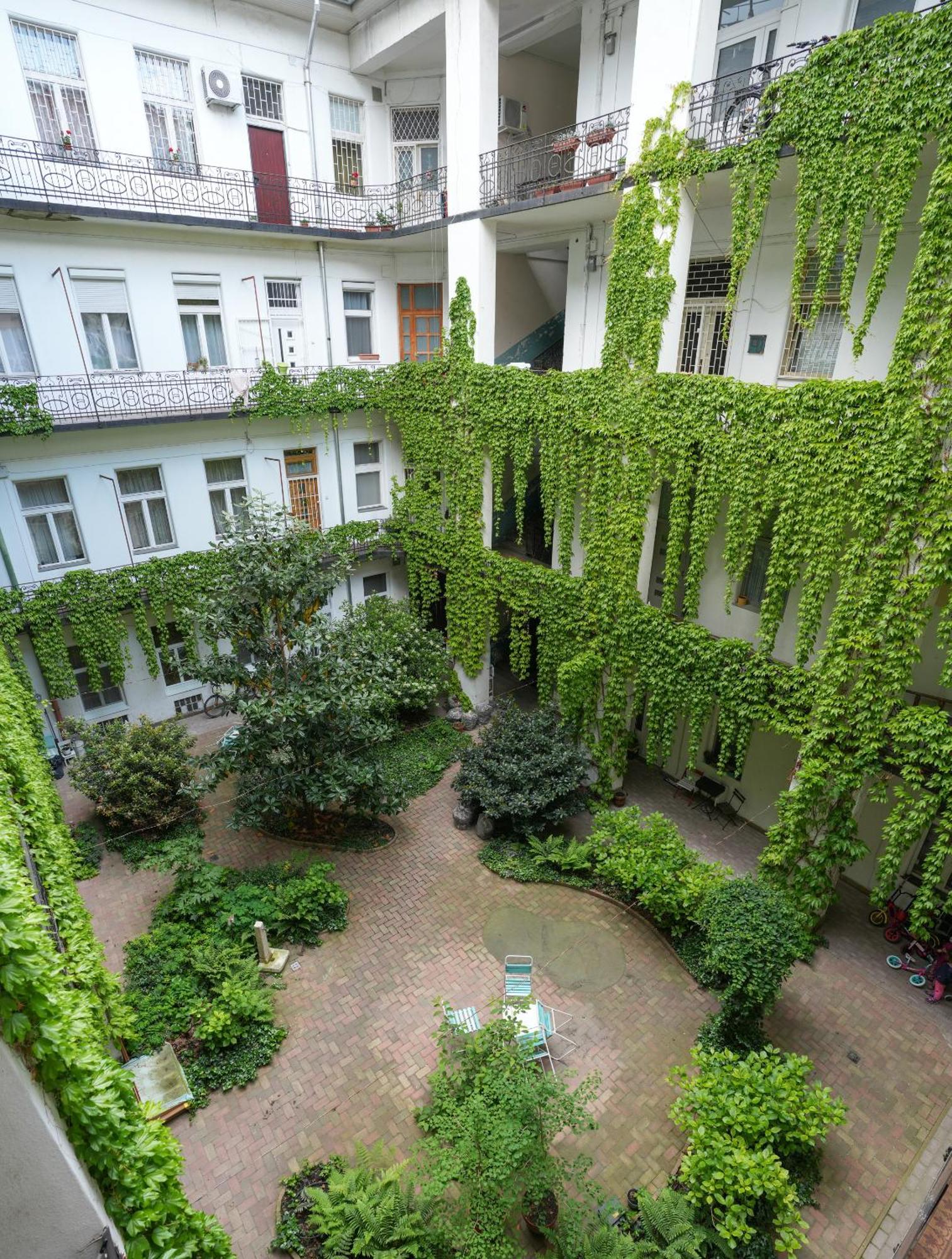 Apartment Park Oasis: Modern Near Szechenyi Bath Budapest