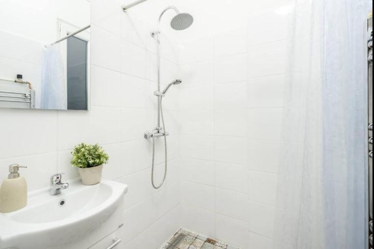 Dessy Downtown Apartment