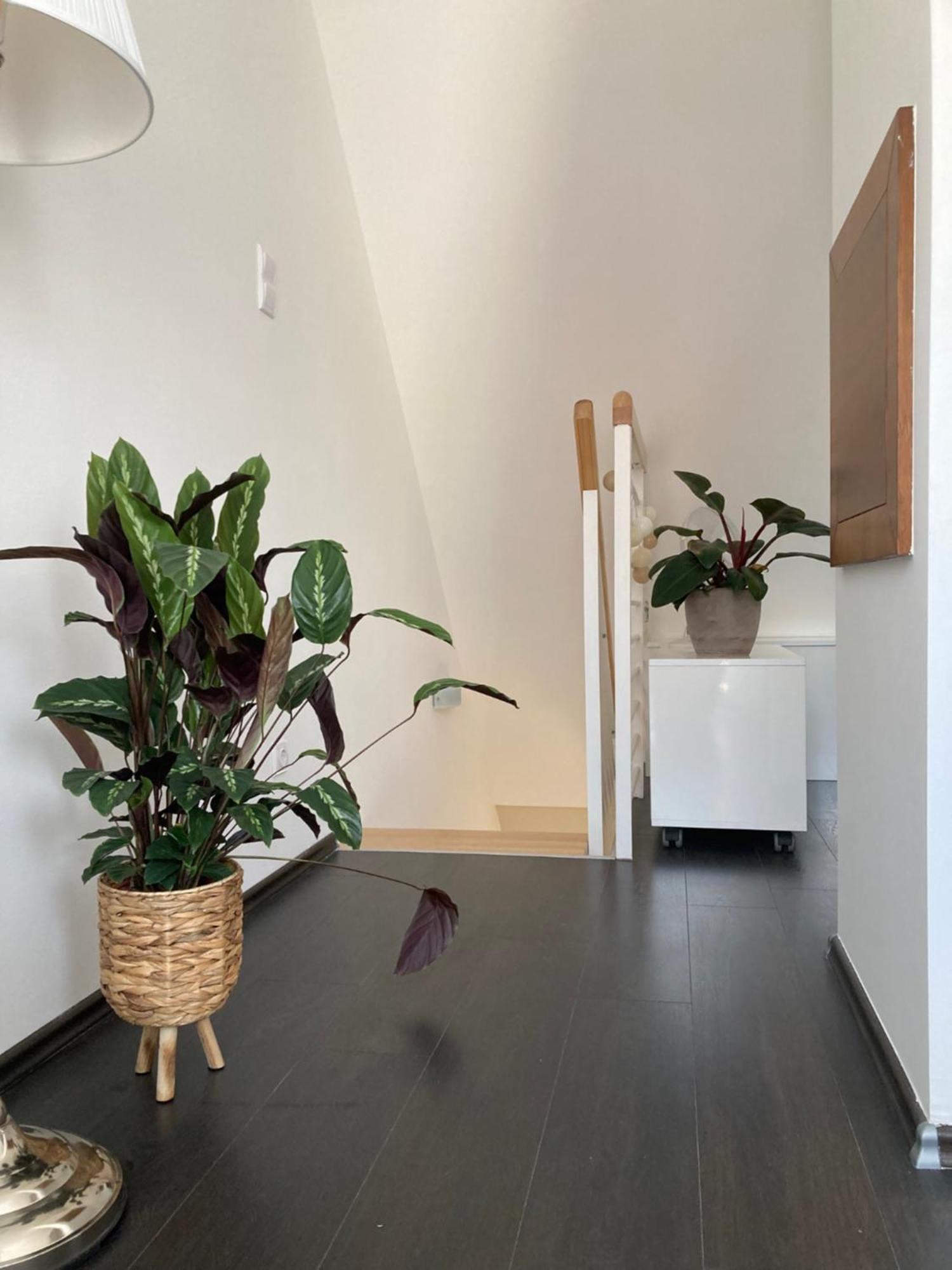 Buda Chill Loft Appartamento Budapest