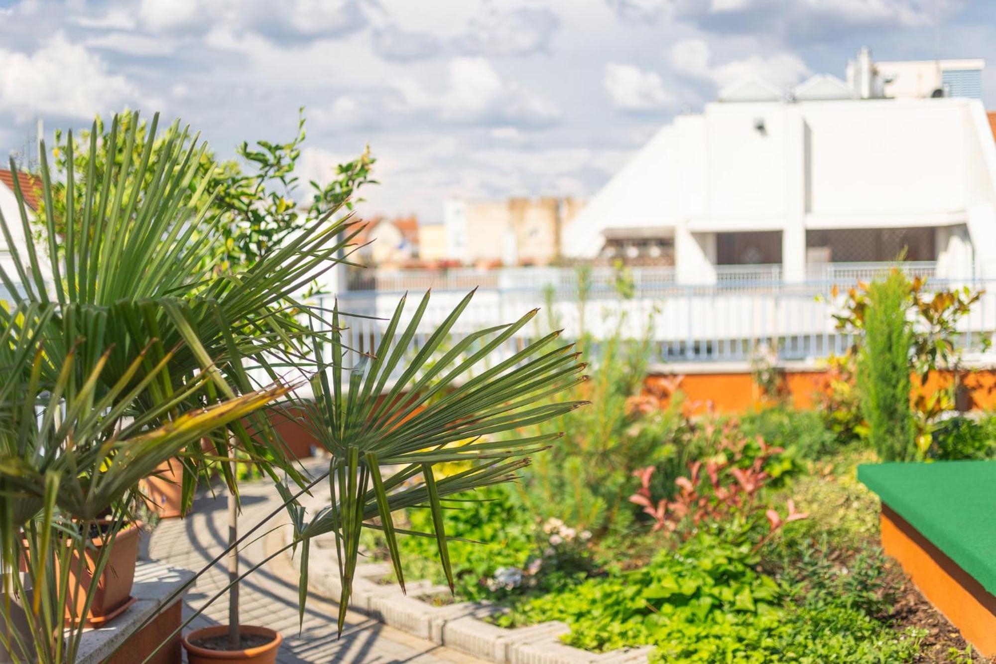 Rooftop With Deep Garage Hotel 3*