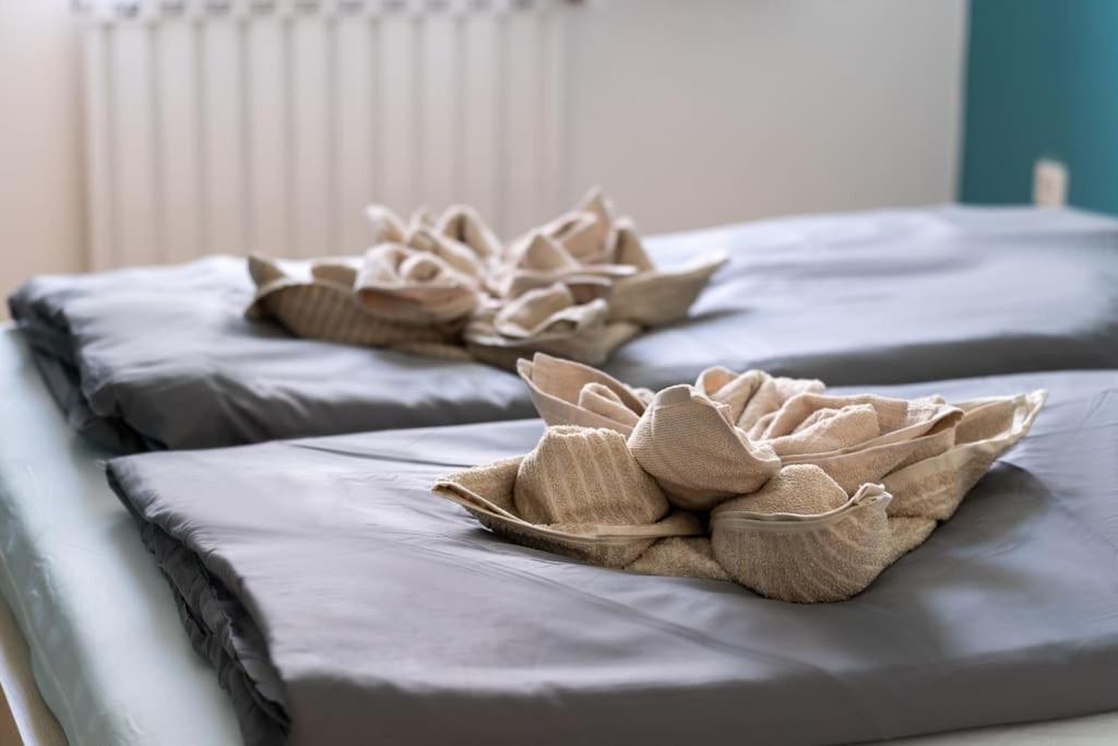Comfort Haven Appartement