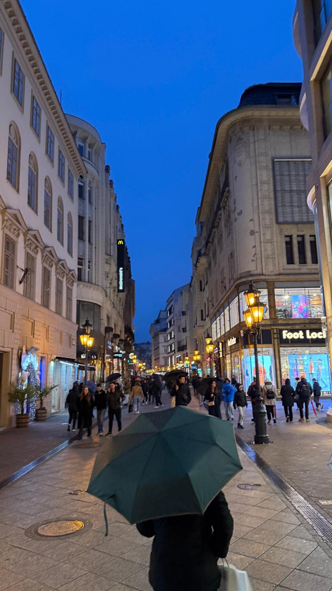 Vaci Corso Appartamento Budapest