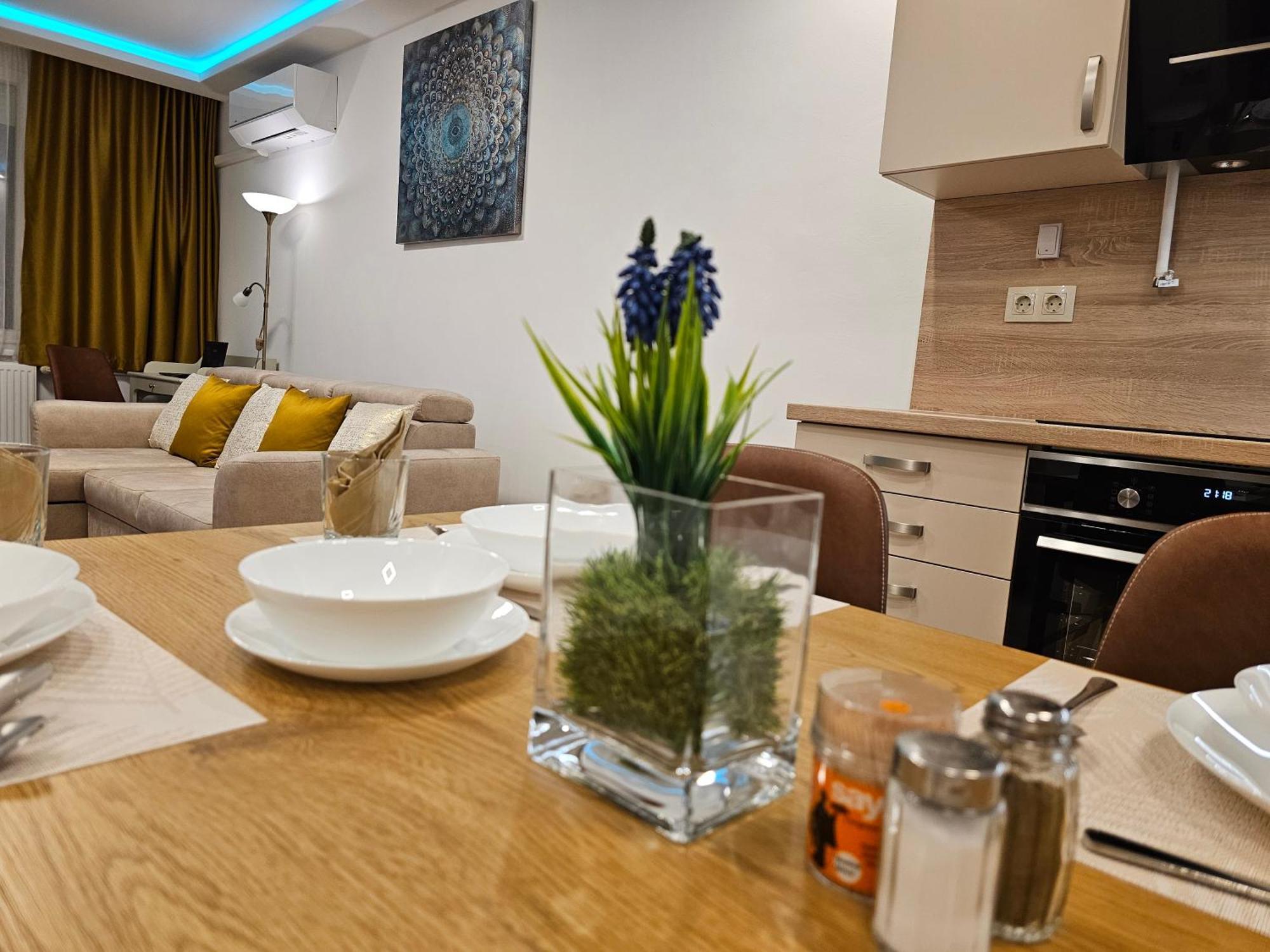 Comfort Apartment *