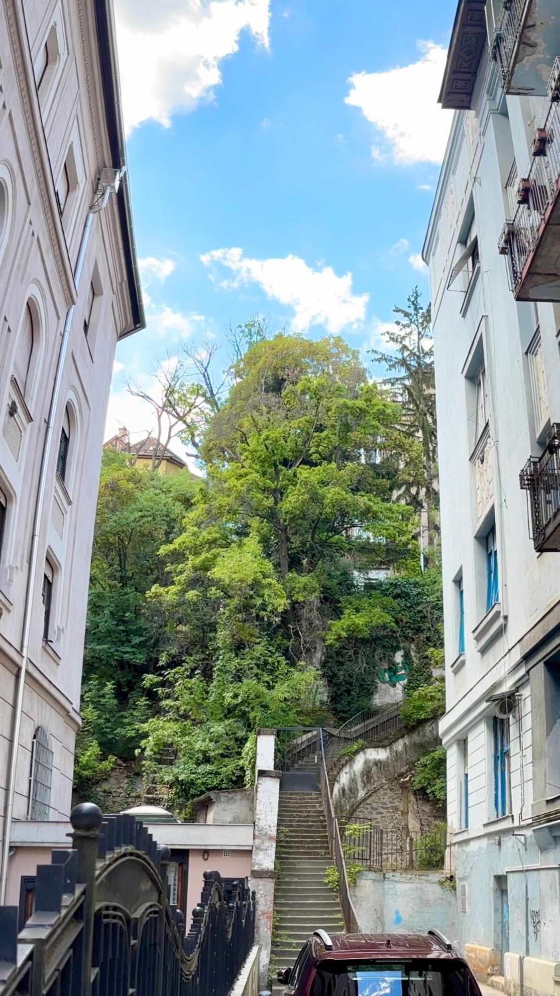 Apartmán Gellert Square Family - Premium In Buda Side's Cultural Center *