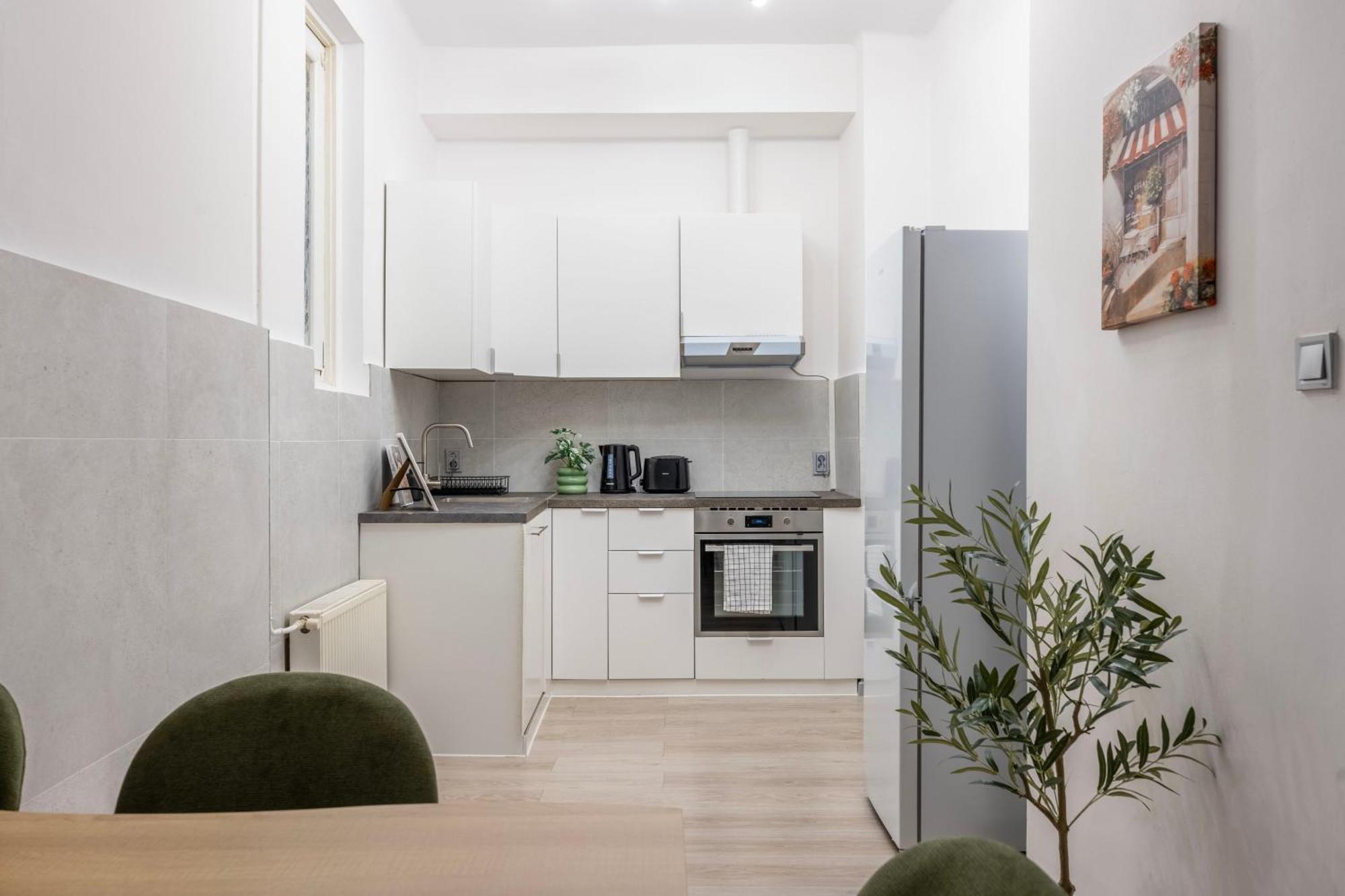 Apartment Spacious 4 Bdr, 4 Bthr In The Center Of Budapest