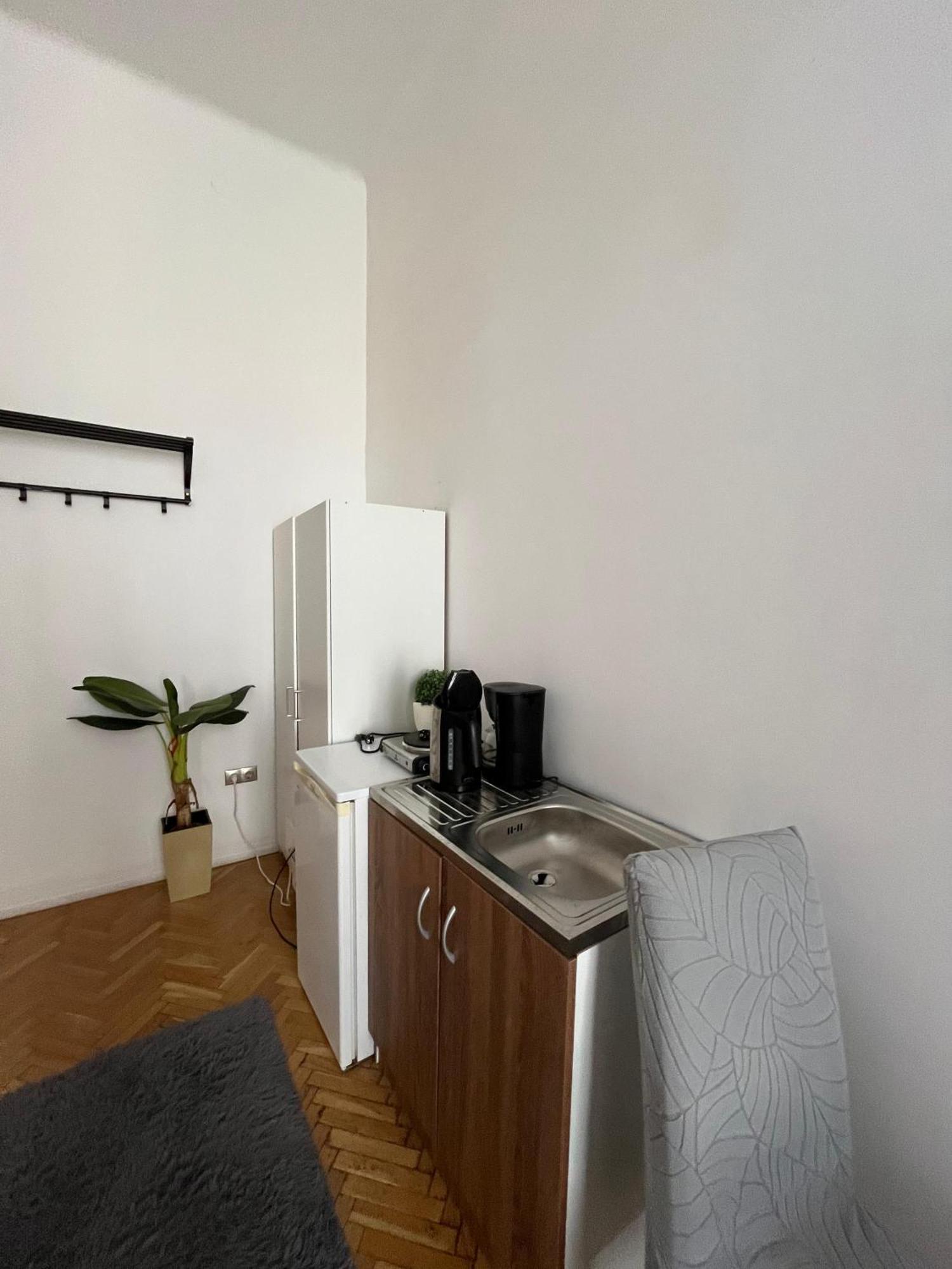 Apartamento Millionrosesvintage Vaci Street Free Airconditioner And Coffee *