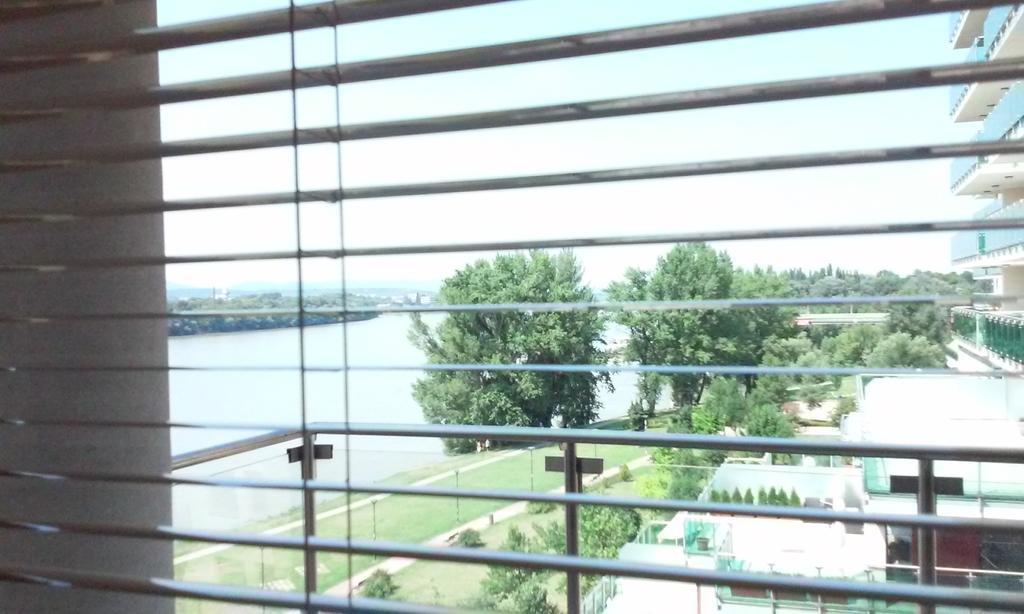 New Danube Flat