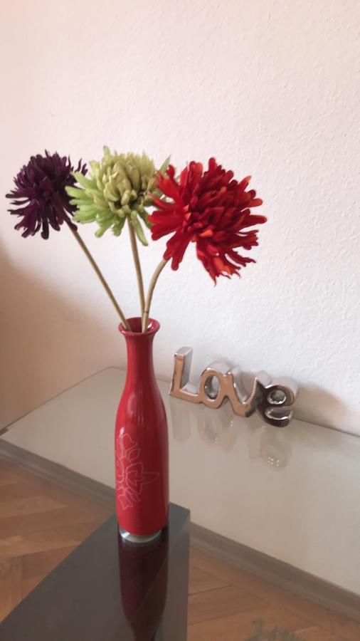 Apartamento Belle *