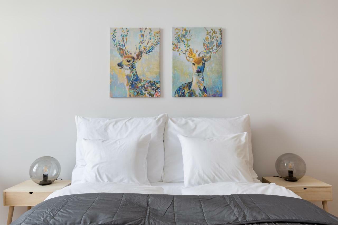 Designer Dream In The Center W 2br/2bath Appartamento