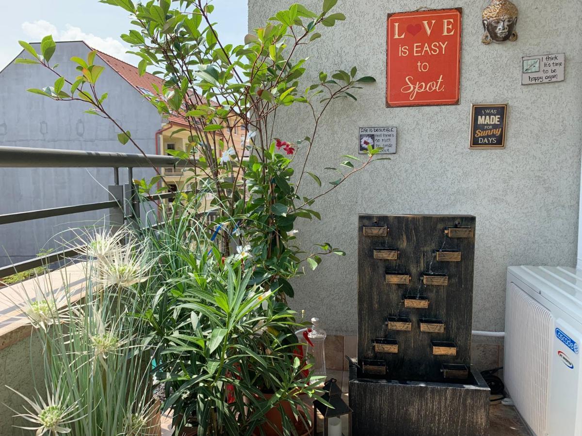 Sunny Deluxe Apt. & Terrace Lejlighed *
